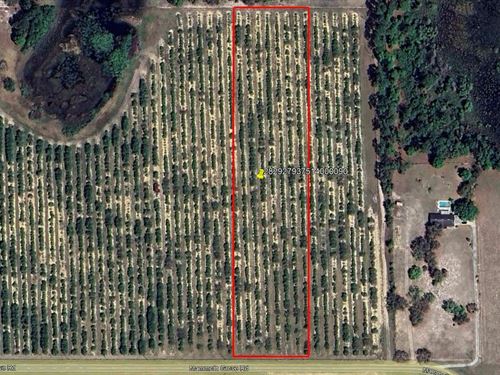 Mammoth Grove Road Lot 9 : Lake Wales : Polk County : Florida