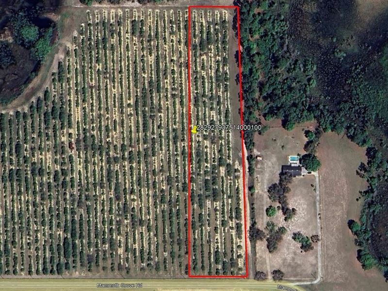 Mammoth Grove Road Lot 10 : Lake Wales : Polk County : Florida