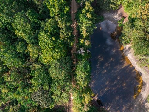 Land with Pond, $999 Down : Sulligent : Lamar County : Alabama