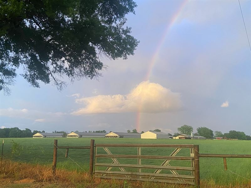 80 Acre Broiler Poultry Farm : Winthrop : Little River County : Arkansas