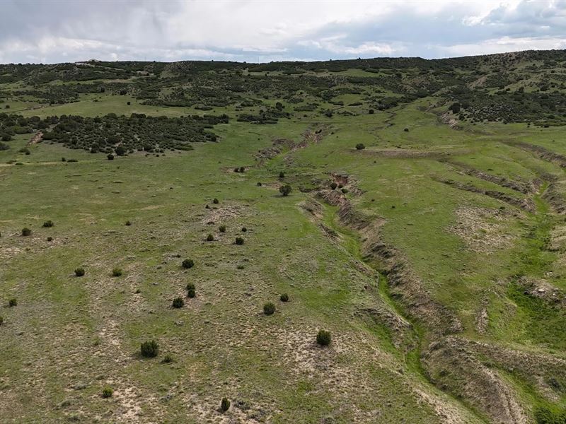 Coyote Point Lot 37, Rye, Co 81 : Rye : Pueblo County : Colorado