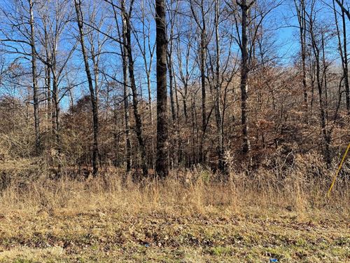 27 Acres, Welcome Church Ro : Westminster : Oconee County : South Carolina