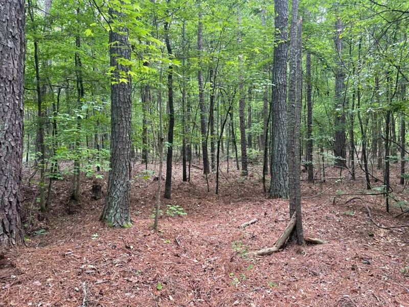6.46 Acres, Tract 5 : Honea Path : Abbeville County : South Carolina
