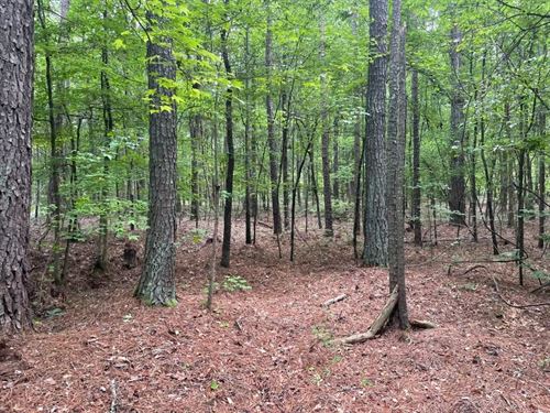 6.46 Acres, Tract 5 On Clatwor : Honea Path : Abbeville County : South Carolina