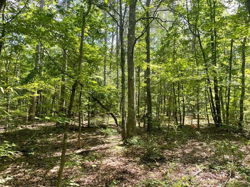 7.40 Acres, Tract 3 On Cl : Honea Path : Abbeville County : South Carolina