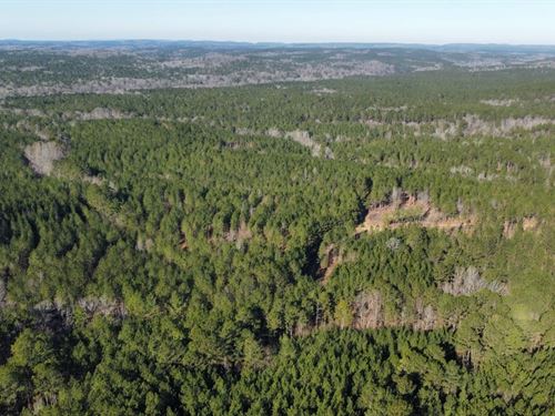 56 Acres Upson Co. GA : Thomaston : Upson County : Georgia