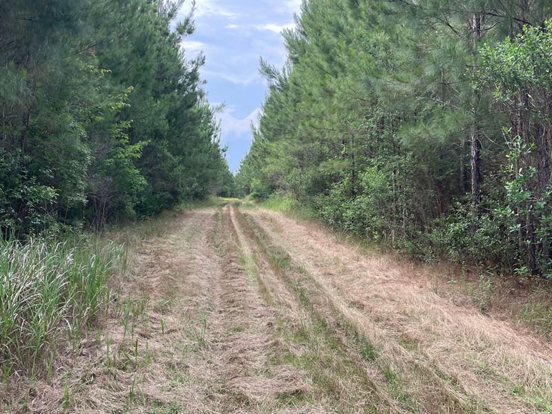 114 Acre Recreation Tract Baldwi : Perdido : Baldwin County : Alabama
