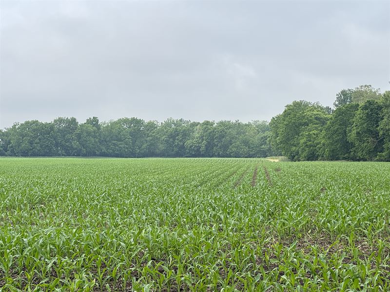 Land Auction, Pickaway County OH : Circleville : Pickaway County : Ohio