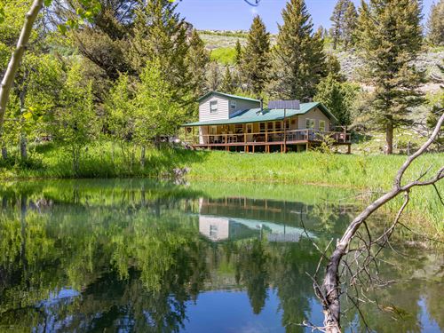 Lander Mountain Creekside Retreat : Lander : Fremont County : Wyoming