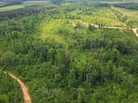 Hunting Property in Wesbster County : Eupora : Webster County : Mississippi