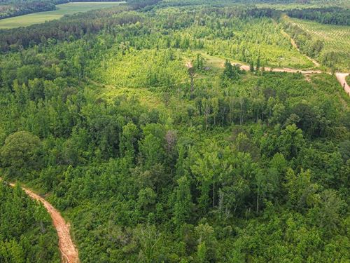 Hunting Property in Wesbster County : Eupora : Webster County : Mississippi