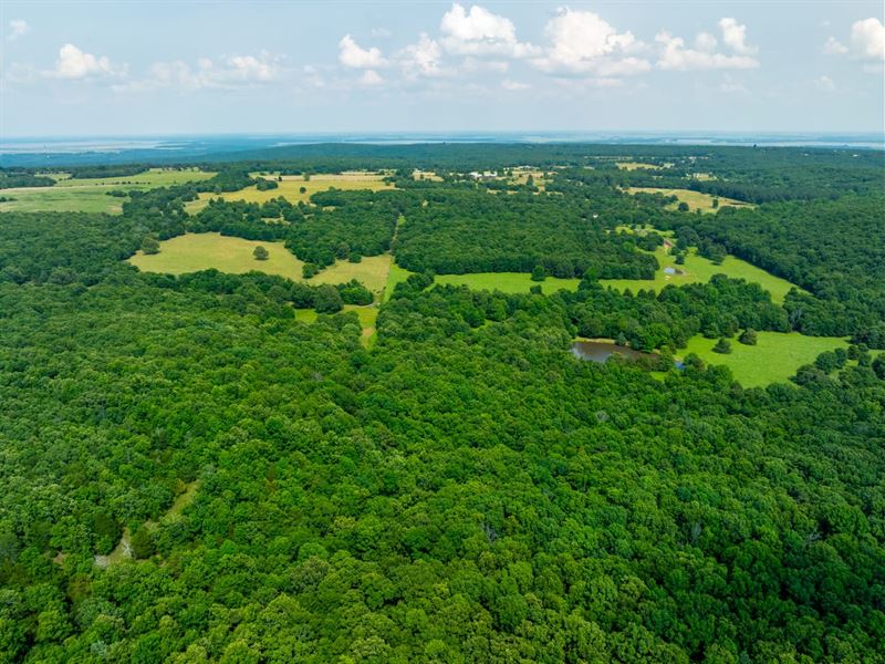 Cattle Farm, Pasture, Timber, Barn : Bradford : Jackson County : Arkansas