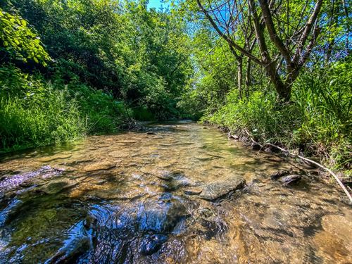 TR 472, 10 Acres, Jefferson Count : Amsterdam : Jefferson County : Ohio