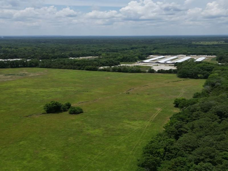 21.7 Acres in Noxubee County in Mac : Macon : Noxubee County : Mississippi