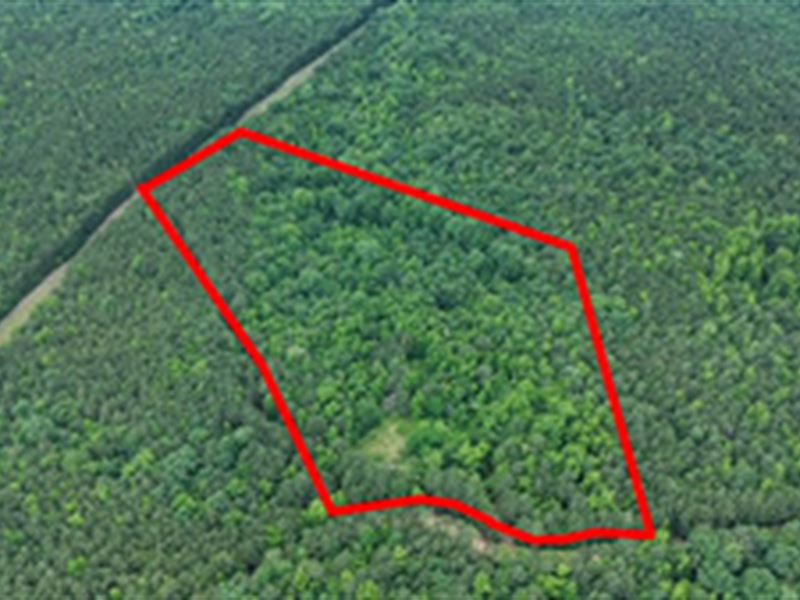 6 Cedar Creek Elberton, GA 30635 : Elberton : Elbert County : Georgia
