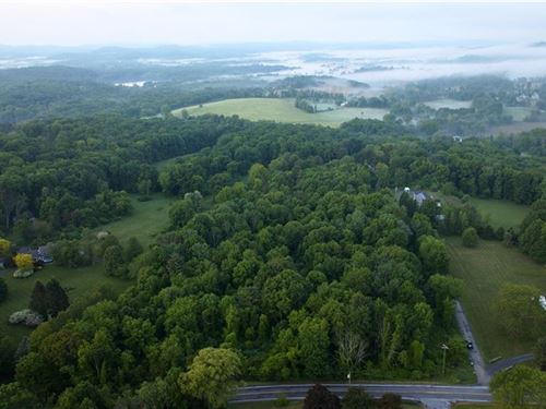 8+ Acres Wooded Lot : Copake : Columbia County : New York