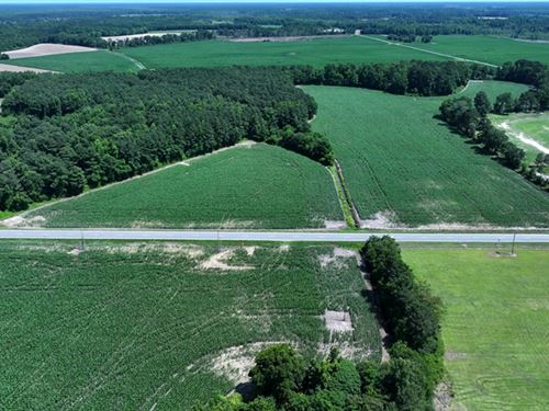 Spacious Farm or Residential Land : Red Springs : Robeson County : North Carolina