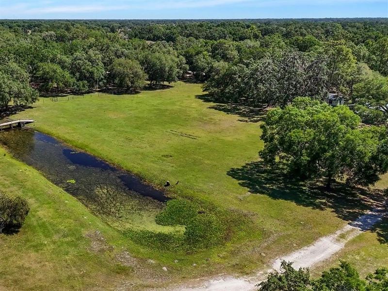 Groveland, FL Lot with Paved Access : Groveland : Lake County : Florida