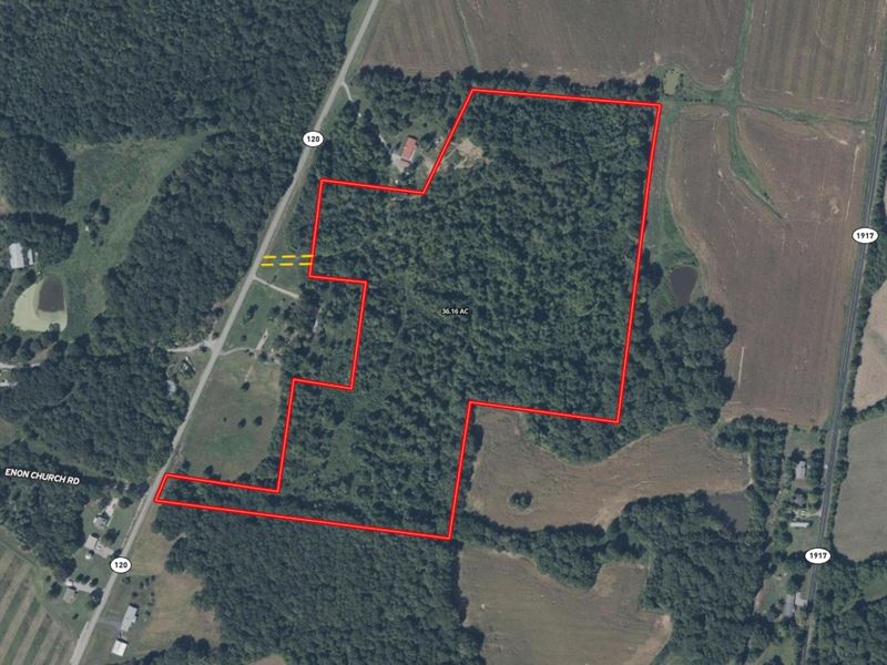 36.6 Acres with Utilities and Trees : Marion : Crittenden County : Kentucky