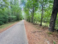 45.9 Acres on Carters Creek Road : Tylertown : Walthall County : Mississippi