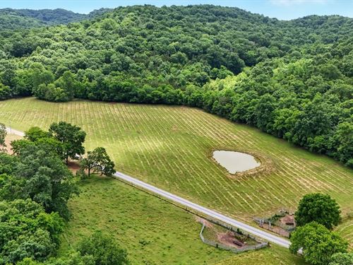 148 Acres, Lincoln County, Ten : Cornersville : Lincoln County : Tennessee
