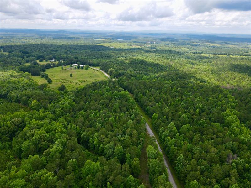38 Acres with Homesites and Uti : Cragford : Clay County : Alabama