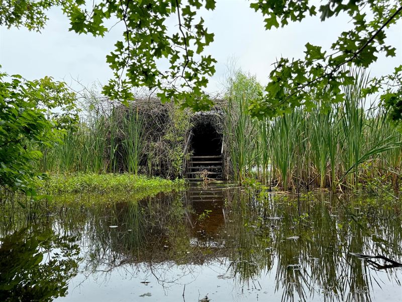 Deer and Duck Hunting Less Than : Earle : Crittenden County : Arkansas