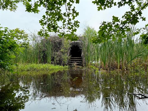 Deer And Duck Hunting Less Than : Earle : Crittenden County : Arkansas