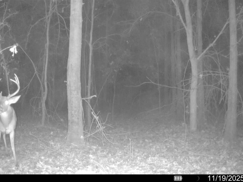 Deer and Duck Hunting Less Than : Earle : Crittenden County : Arkansas