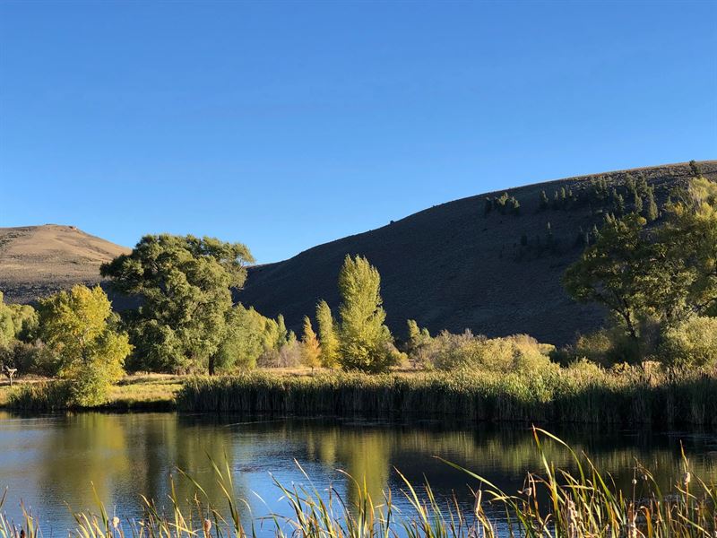 Middle Tomichi Ranch : Gunnison : Gunnison County : Colorado