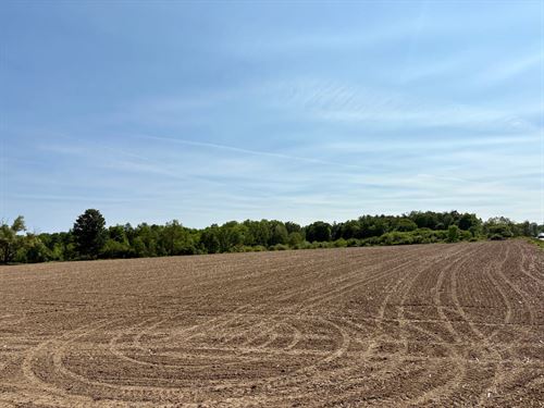 Meadville Rd Farm Titusville PA : Titusville : Venango County : Pennsylvania