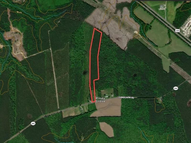 13.34 Acres Of Residential Property : Wakefield : Sussex County : Virginia