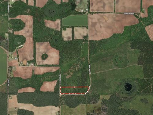 Christmas Road Tract Lot 1 : Campbellton : Jackson County : Florida