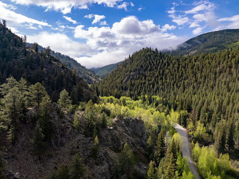 Geneva Creek Retreat : Grant : Park County : Colorado