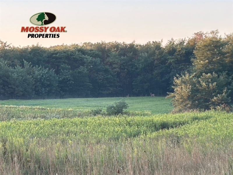 Sangamon River 50 : Cisco : Macon County : Illinois