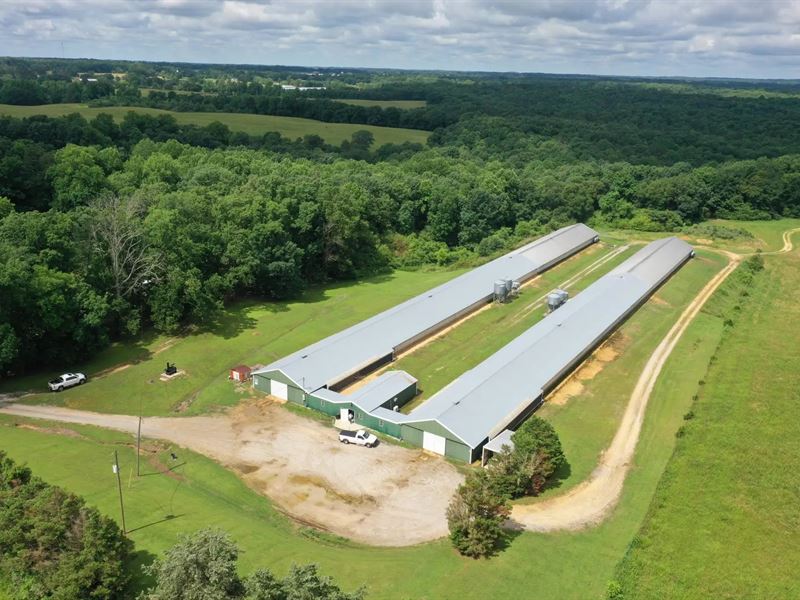 Paul Breeder Farm : Hackleburg : Marion County : Alabama