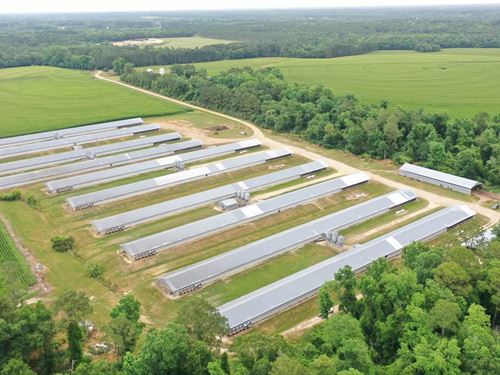 Shiloh Road Broiler Farm : Cairo : Grady County : Georgia