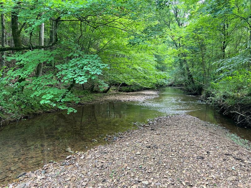 First Creek Mini Farm : Rogersville : Lauderdale County : Alabama