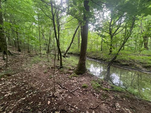 First Creek Mini-Farm/Homesite : Rogersville : Lauderdale County : Alabama