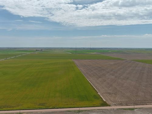 Hyde Dryland Quarter : Yuma : Washington County : Colorado