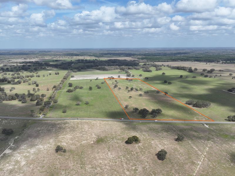 46 Ac Marion County Ranchette East : Dunnellon : Marion County : Florida