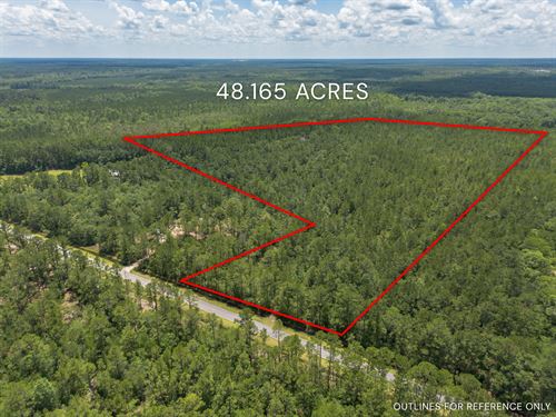 48.165 Acres on Longford Road : Jesup : Wayne County : Georgia