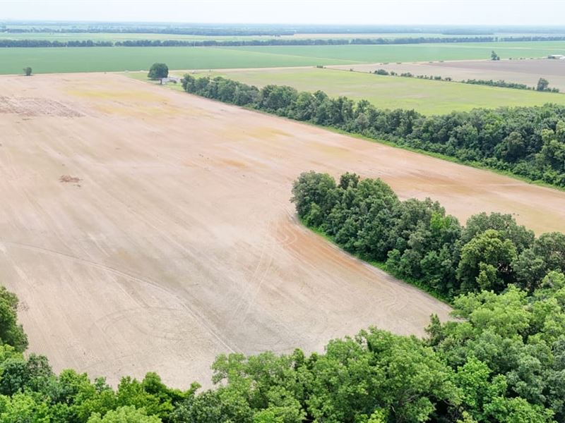 Copeland Rd 53.32 Acres : Crawfordsville : Crittenden County : Arkansas