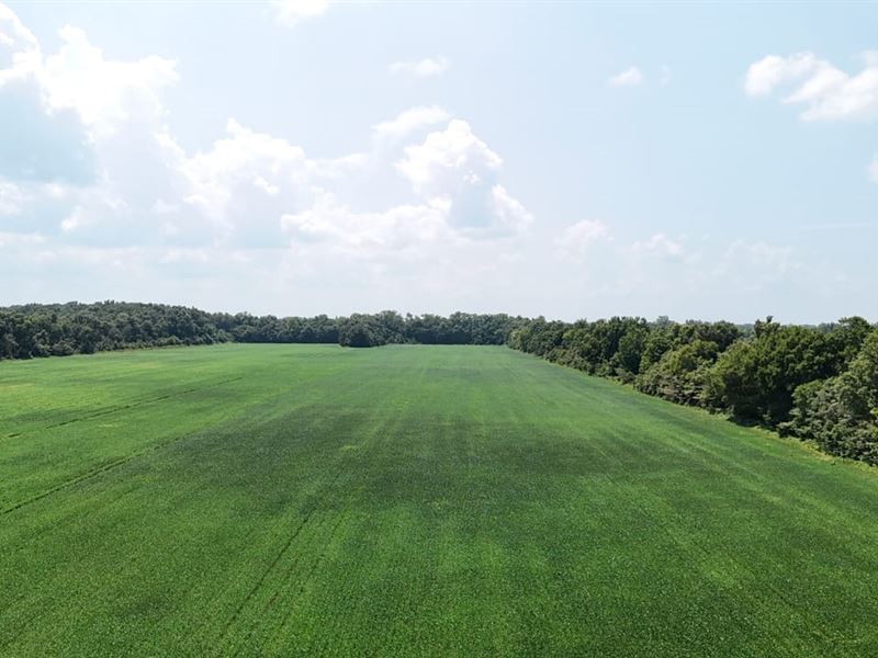 Copeland Rd 53.32 Acres : Crawfordsville : Crittenden County : Arkansas