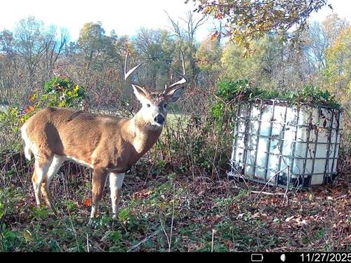 Price Drop, 53.32 Acres of Farm : Crawfordsville : Crittenden County : Arkansas