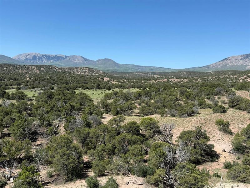 25 Cl&G Unit Bb, Gardner, Co 81 : Gardner : Huerfano County : Colorado