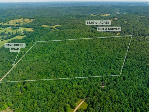 66 Acres Off Cave Creek Road cl : Batesville : Independence County : Arkansas