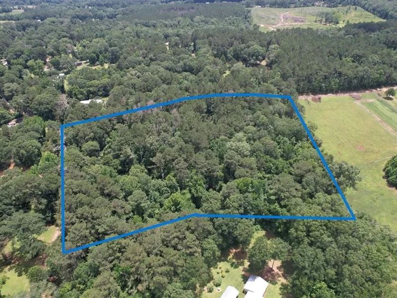 9 Acres Of Wooded Land for Sale : Bogue Chitto : Lincoln County : Mississippi