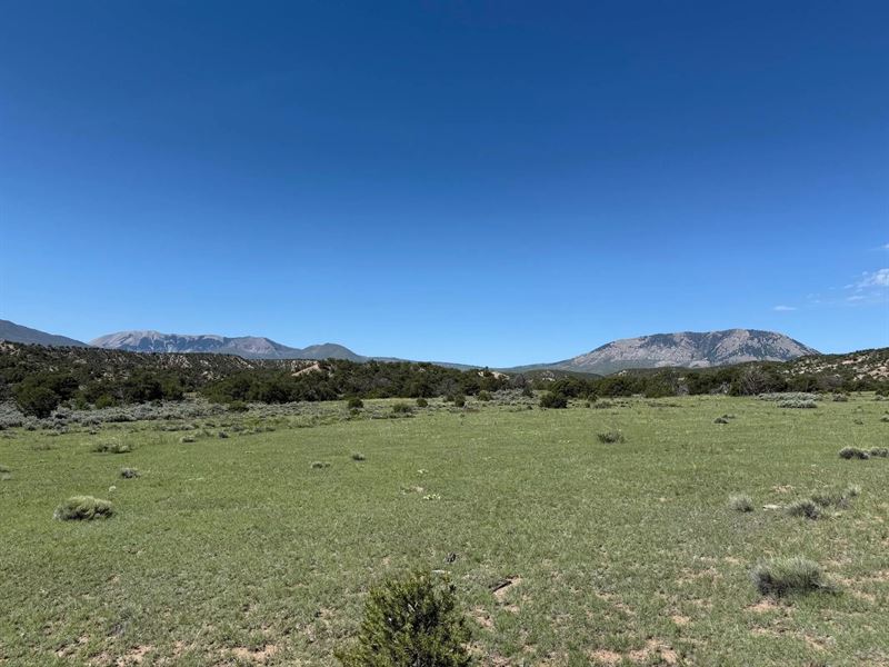 27 Cl&G Unit Bb, Gardner, Co 81 : Gardner : Huerfano County : Colorado