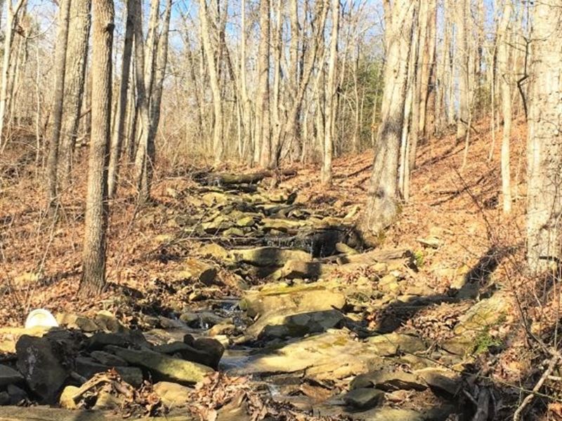 East Tennessee Natural Beauty : Graysville : Sequatchie County : Tennessee